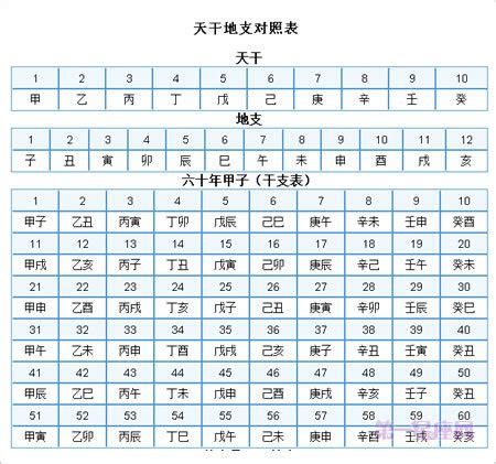 十二地支注音|天干地支表怎么读 天干地支表带拼音